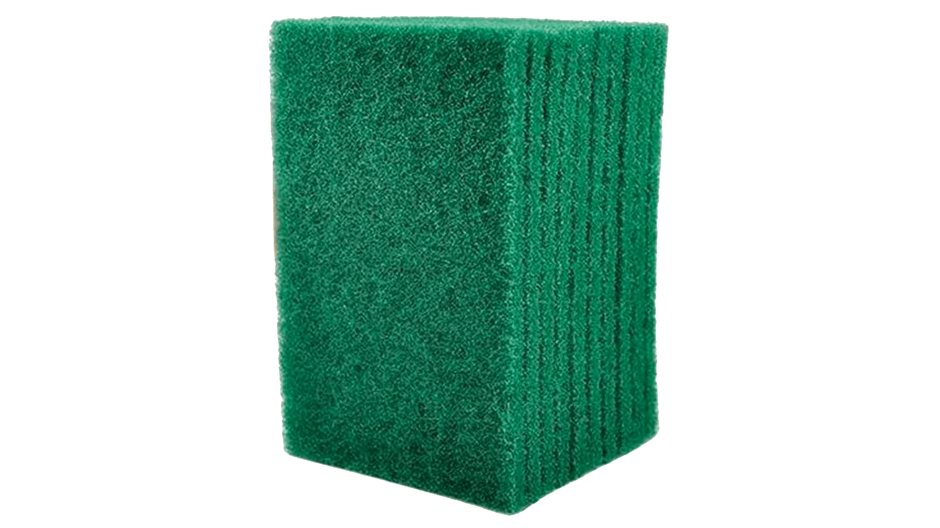 Pazoria green-scrubber